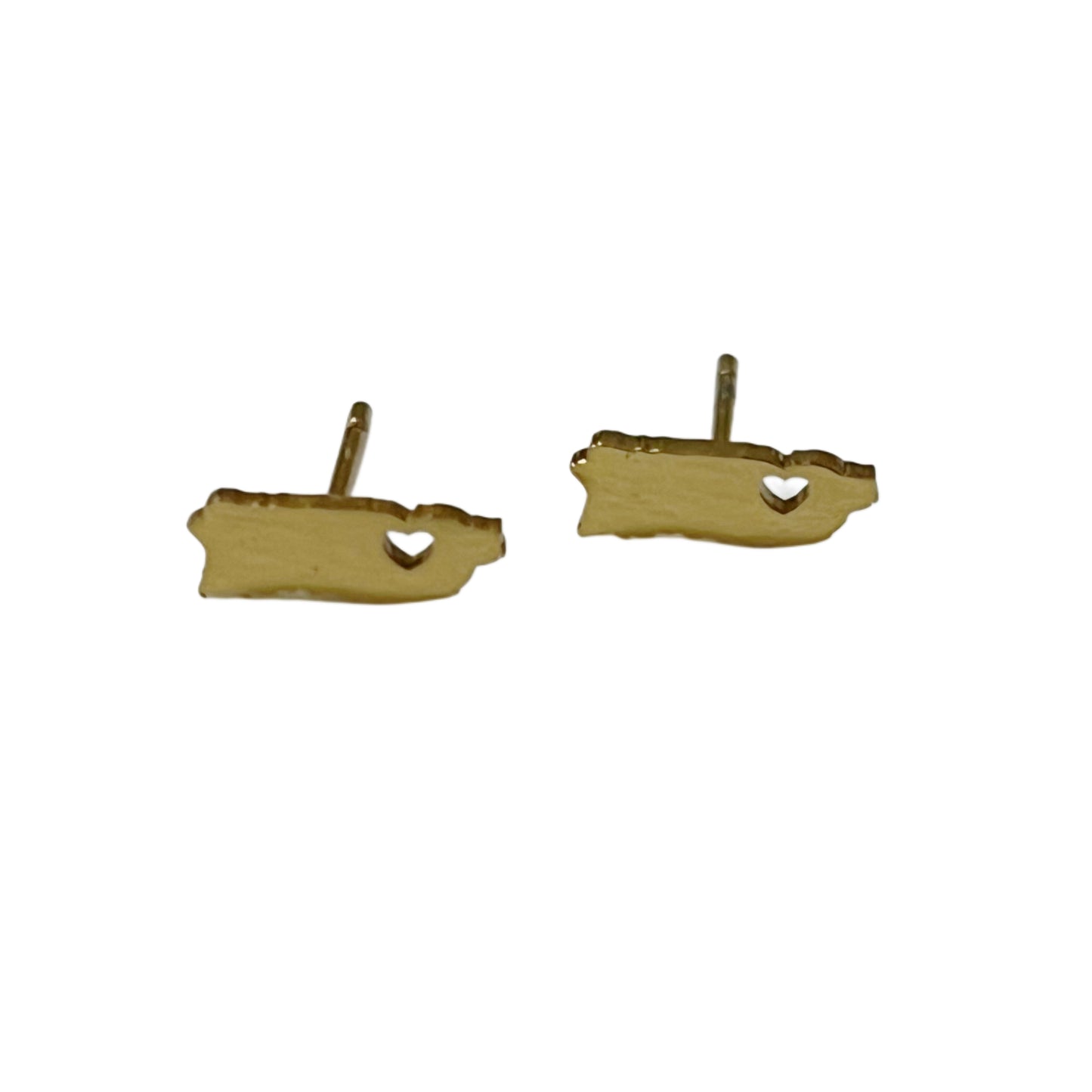 PR earrings