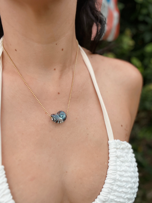 the shell chain