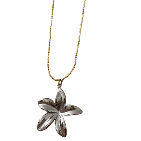 florencia chain