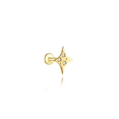 Shiny star earring