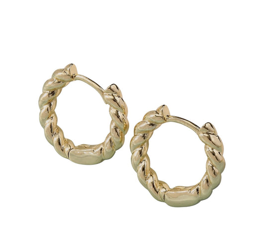 Small twist earrings